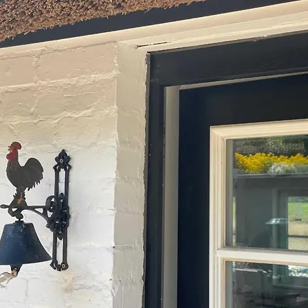 Prázdninový dům Ferienhaus Seedorf Hideaway Sandort